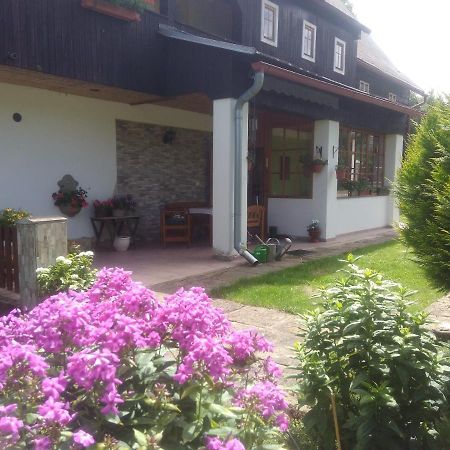 Ubytovani U Sviraku Srbska Kamenice Ngoại thất bức ảnh